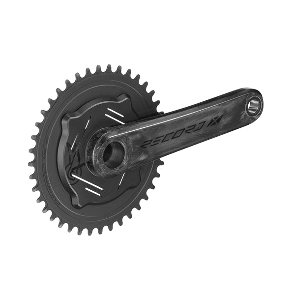 Krankarme CAMPAGNOLO RECORD X 13V